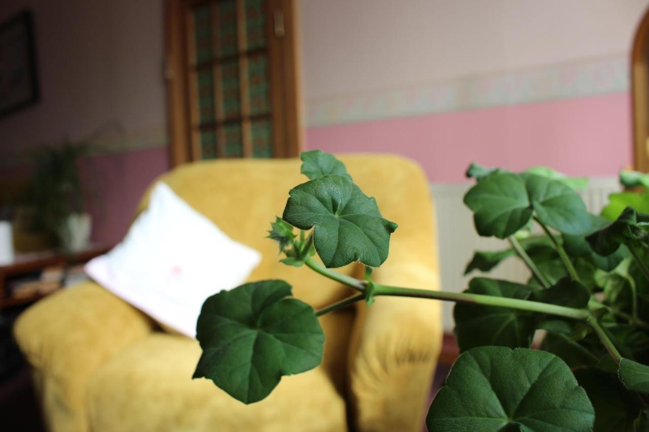 Nemunas Tour Residence Ringaudai Zewnętrze zdjęcie